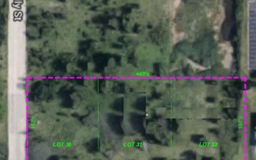 46 – 48 W South St, Park Forest, IL 60466